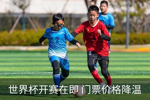 世界杯开赛在即 门票价格降温